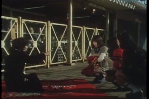 PDVD_008.jpg