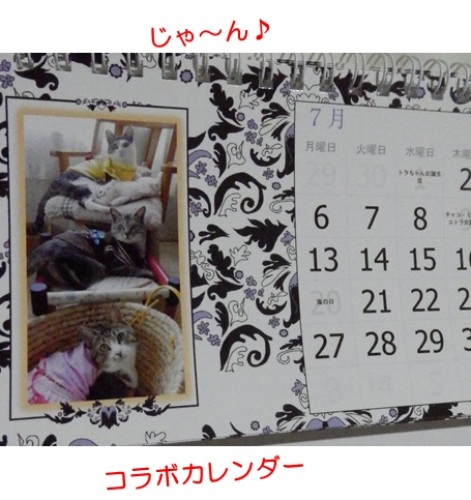 20150713_2.jpg