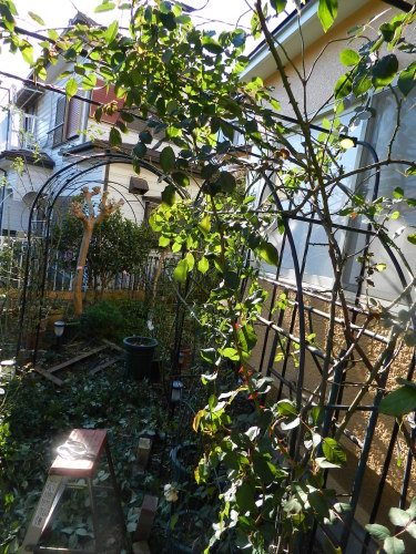 DSCN0399.JPG