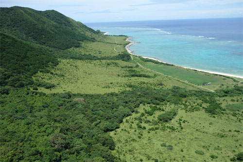 石垣189.jpg