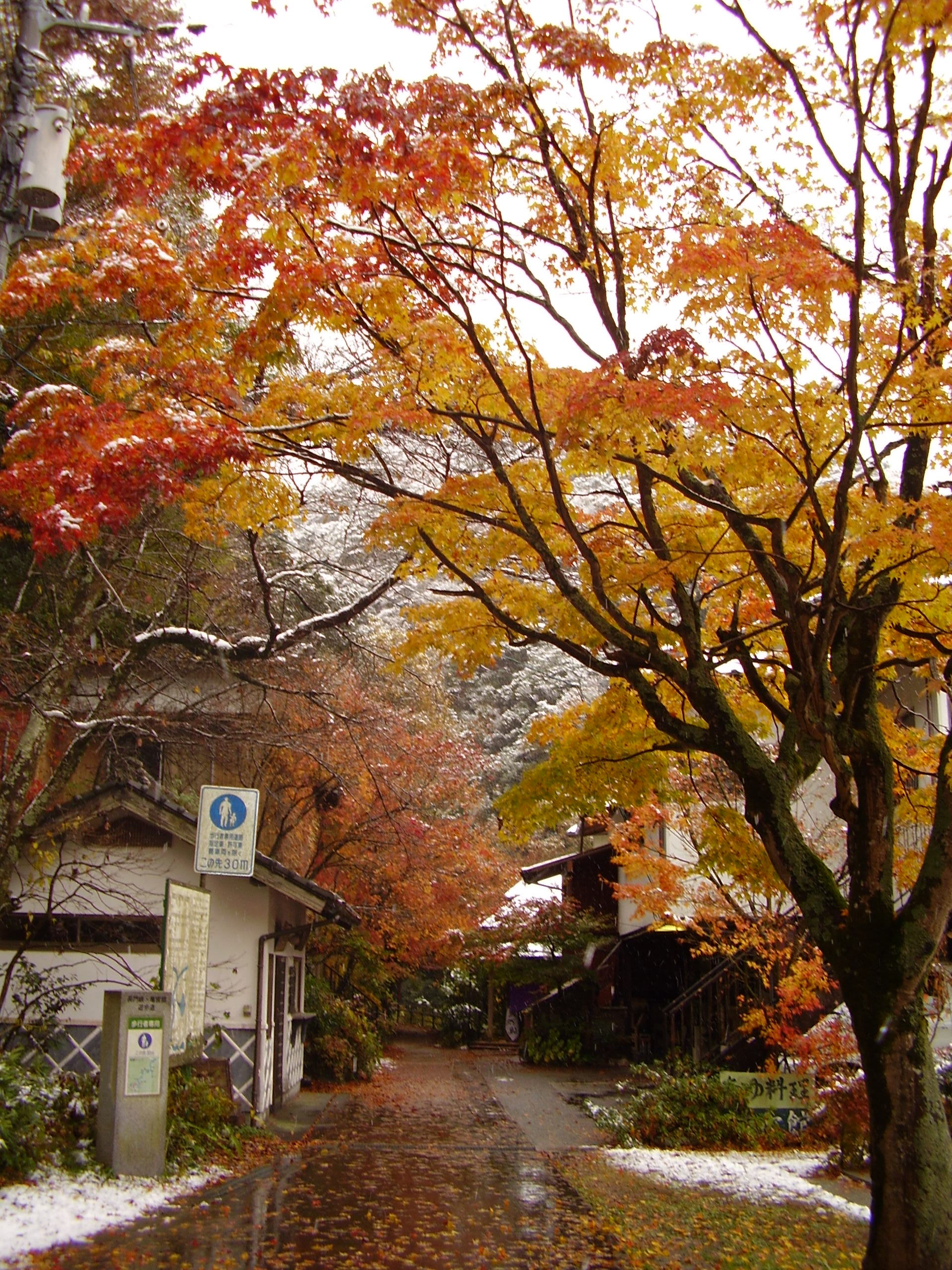 長門峡の紅葉雪景色 山口県観光 生まれも育ちも山口県 ゆずこ日記 楽天ブログ