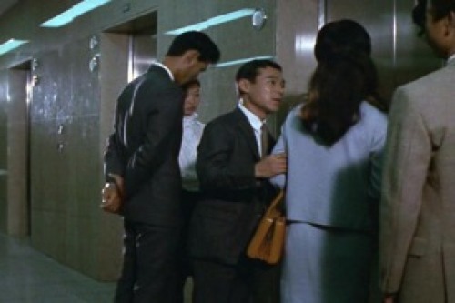 PDVD_004.jpg