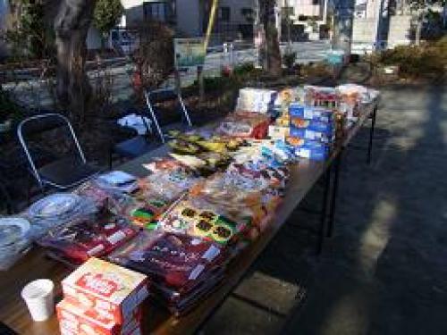 20130113-10　大和市西南自治区どんと焼き (5).JPG