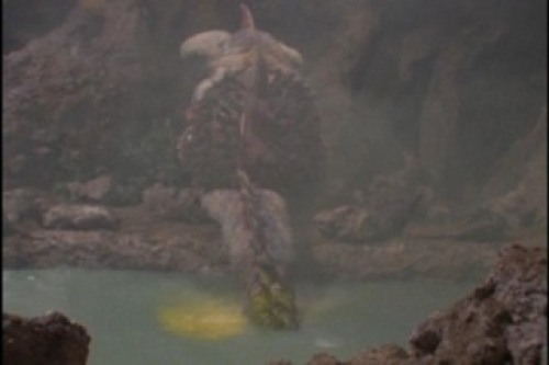 PDVD_013.jpg