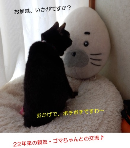 20150323_6.jpg