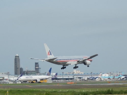 P6240226 (400x300).jpg