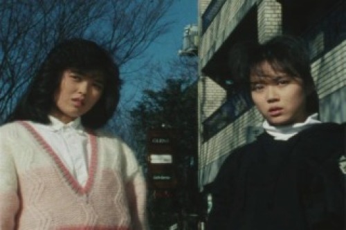 PDVD_032.jpg
