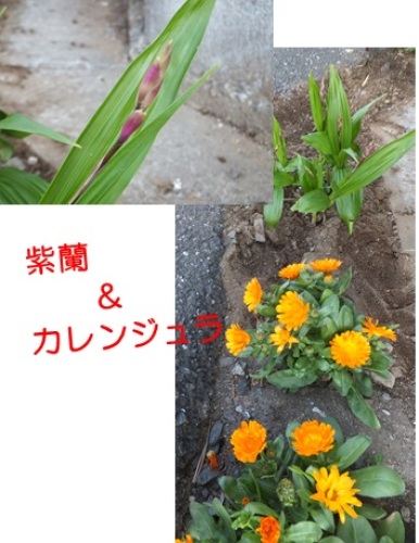 20130506_5.jpg