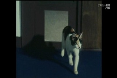 PDVD_010.jpg