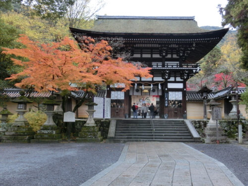 CIMG0849.JPG