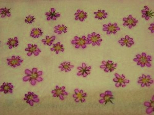 DSCN6851 (300x225).jpg