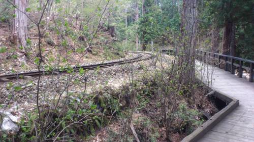 DSC_0452[1].JPG