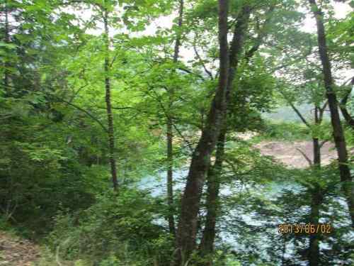 C:\fakepath\IMG_3129.jpg
