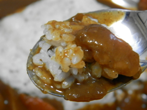 ビグ・ザムカレー04.JPG