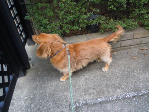 DSCN6838.JPG