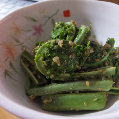 DSCF5291.JPG