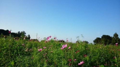 CYMERA_20150929_113422.jpg
