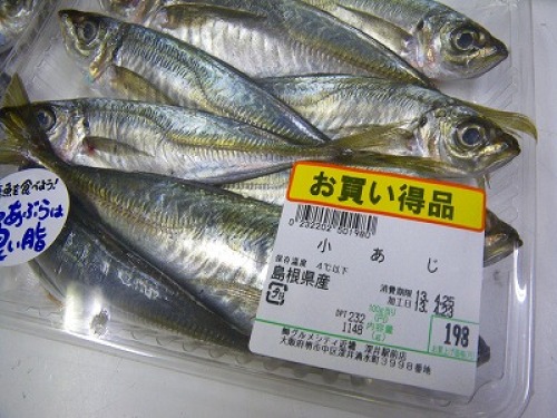 無料ダウンロード アオリイカ ウキ釣り 冷凍アジ 仕掛け 無料の魚の画像