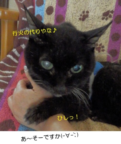 20150923_5.jpg