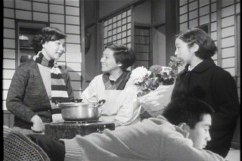 PDVD_013.jpg