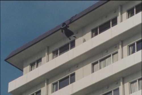 PDVD_011.jpg