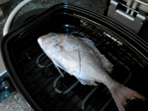 真鯛の塩焼き２02.JPG