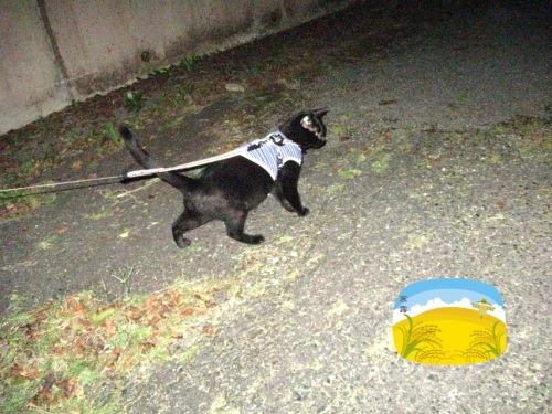 チャン21.jpg