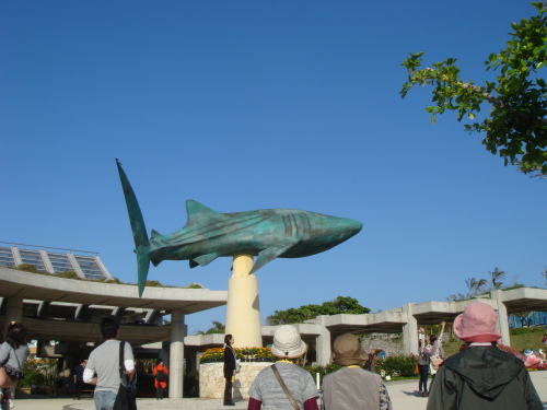 DSC07164.JPG
