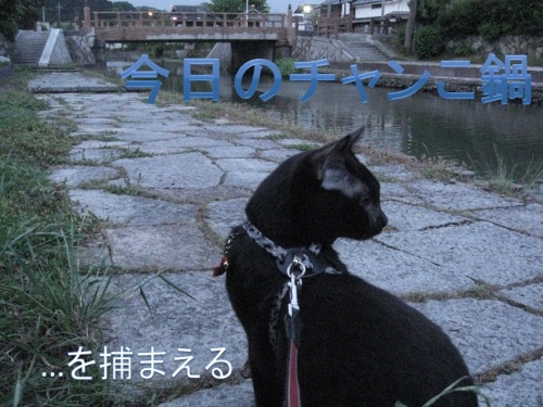 チャン1.jpg