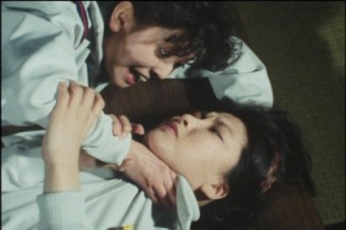 PDVD_010.jpg