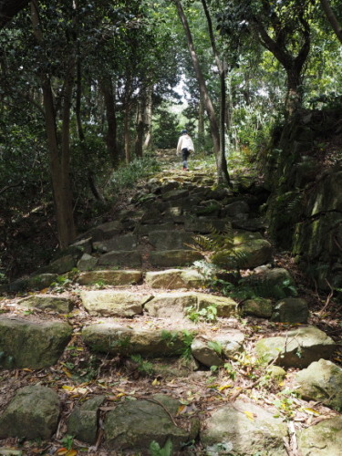 P5030055.jpg