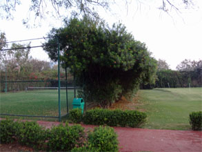 インド547.jpg