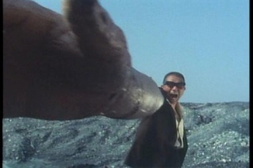 PDVD_015.jpg