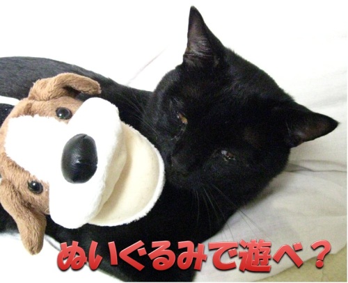 チャン3.jpg