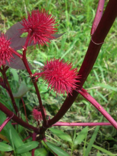 SN3O03780001.jpg