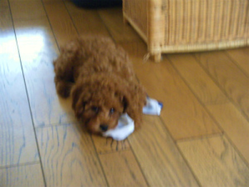 DSCF8410.jpg