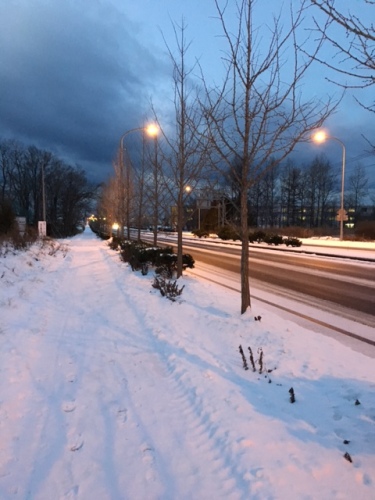 20151231ウォーキング (1).JPG