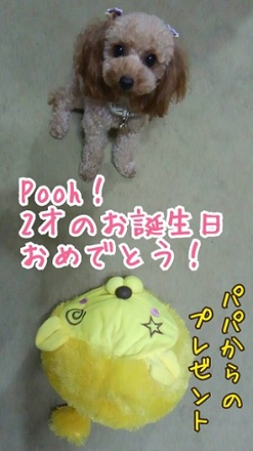 2014年10月05日 Poohの誕生日(1).jpg