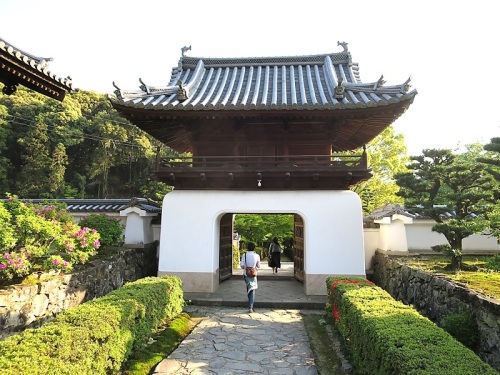 神社13興聖寺.jpg