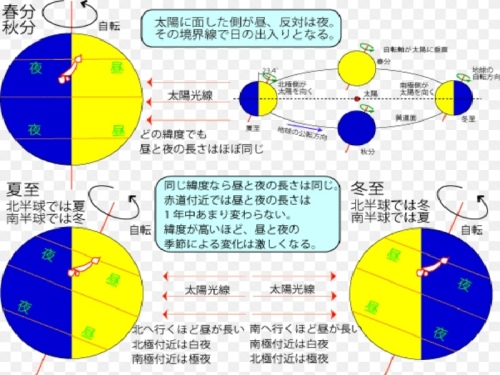 冬至 Jinさんの陽蜂農遠日記 楽天ブログ