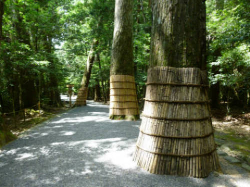 P1000089.JPG