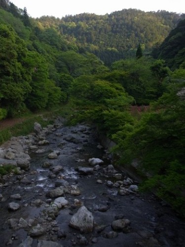 愛宕山登山2012.5 (36)0080.jpg