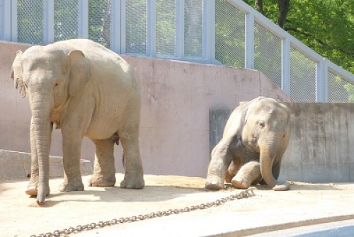 多摩動物公園7.jpg