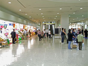 沖縄854.jpg