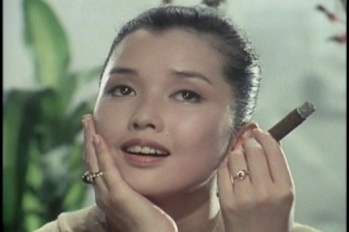 PDVD_000.jpg