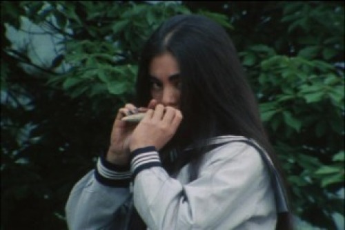 PDVD_019.jpg