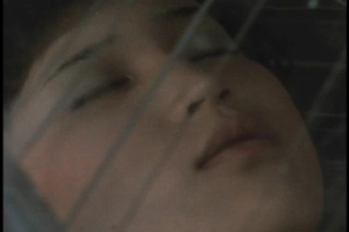 PDVD_021.jpg