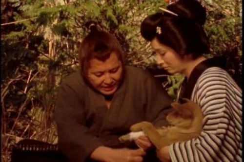PDVD_006.jpg