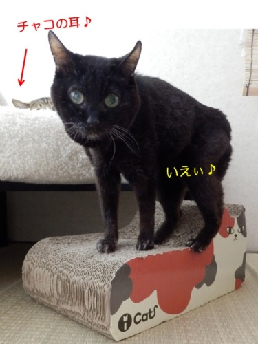 20150517_5.jpg