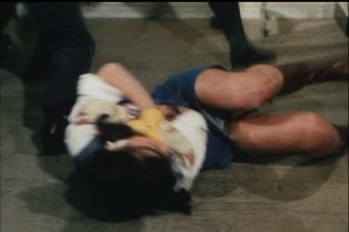 PDVD_009.jpg